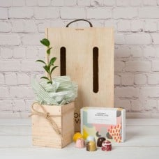 Tree & Chocolates