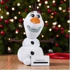 Sweet Adventures with Frozen Plush Toys