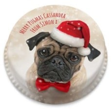 Christmas Pug Cake (letterbox gift cake (serves 2-4))