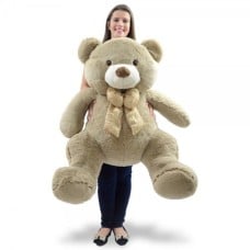 Giant Teddy Bear 1 Meter - Guto Avela
