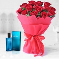 Cool Red Roses 1 Dozen