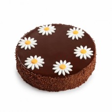 Chocolate Gateau 6 Portions