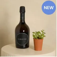 Prosecco and Organic Succulent