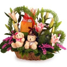 Beary Godiva Choc - Chocolate Hamper