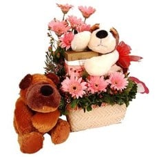 Puppy Beethoven - Flowers & Chocolate Gift
