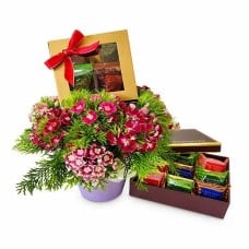 Royce Confection – Chocolate Gift Box