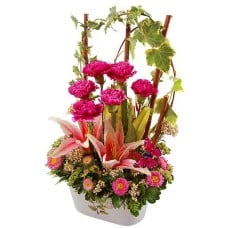 Alma Mater - Carnation Flower Arrangement