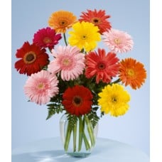 Gerberas Vase