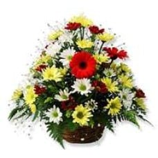 Gerberas And Daisies Basket