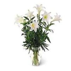 Vase With 6 Lilies