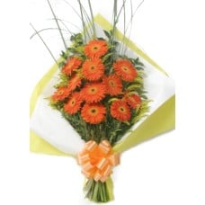 Gerberas Barrel