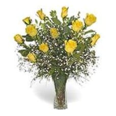 Vase 12 Yellow Roses
