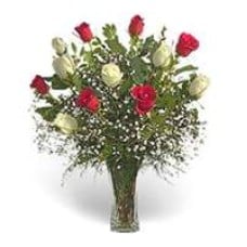 Vase 12 Bicolor Roses