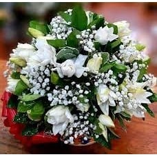 MEDIUM BASKET OF JASMINE
