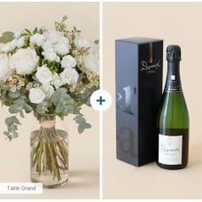 Cotton Green And Its Devaux Champagne (Normal)