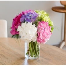Armful Of Hydrangeas (5 hydrangeas)