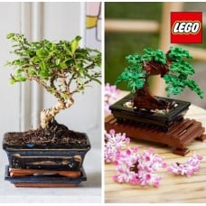 Bonsai and LEGO® Set