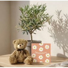 Plant birth gift set