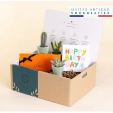 Plant birthday gift set