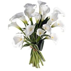 White Calla Lilies With Delivery Across Romania (Standard)