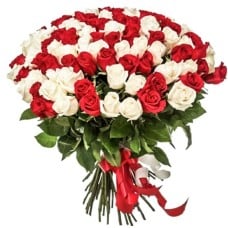 101 Red White Roses