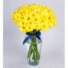 Arrangement of Yellow Daisies