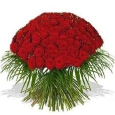 Red Roses with Palm Branches (125 Roses)