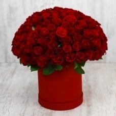 Scarlet Splendor