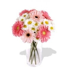 16pcs Mixed Gerbera and Chrysathemum Vase Bouquet(Standard)