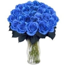 Blue Lady At 55 Blue Roses (No Vase)