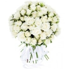 White Angels (37 Stems)