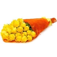Best Wishes With Roses (25 Roses)