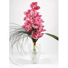 A bouquet of orchids