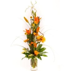Yellow-Orange (As In The Picture)