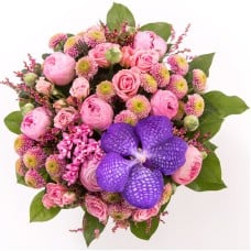 Baby pink (Small)