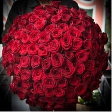 101 Roses