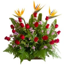 Roses and birds of paradise