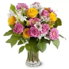 6 yellow and 6 pink Roses, pink Gerberas, white Lilies