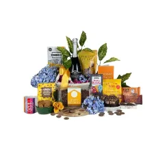 Birthday Vibrancy Gift Basket