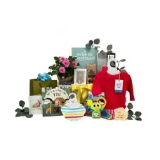 Baby Bouquet Family Gift Basket