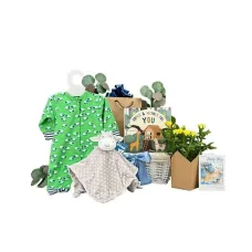 Flowers For Baby Gift Basket Boy