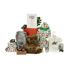 Baby Gift Hopes and Wishes Boy