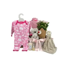 Baby Girl and Family Flower Gift Basket