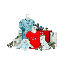 Essential Baby Boy Gift Box
