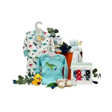 Starter Baby Boy Gift Box