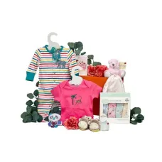 Starter Baby Girl Gift Box