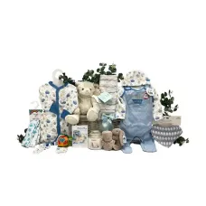 Extravagant Boys Baby Gifts