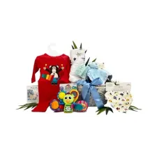 Special Boys Baby Gifts
