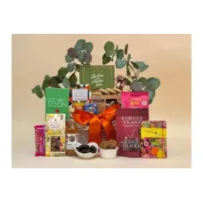 Get Well Creative Thoughts Gift
