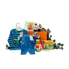 Boys 1st Birthday Gifts